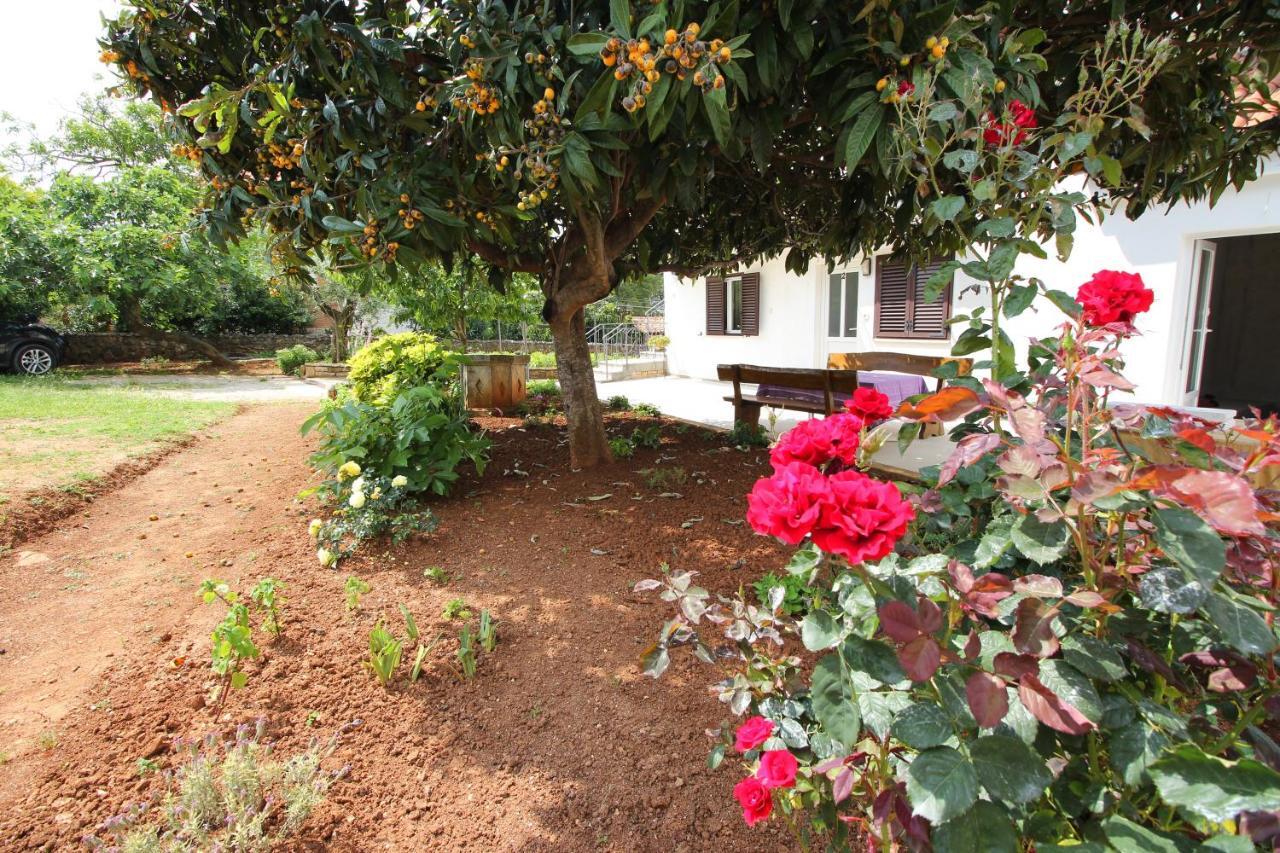 Casa Lidija Lägenhet Rovinj Exteriör bild